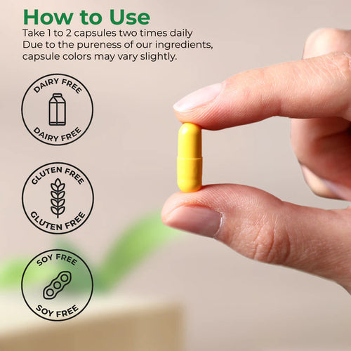 Eva Nutrition Berberine Supplement | Berberine HCI Root Supplements Pills